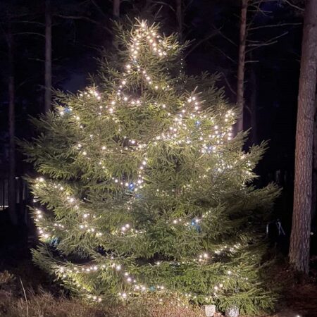 Ammattimaiset 500LED-jouluvalot Lämmin valkoinen Vilkkuva kylmä valkoinen 35.5M
