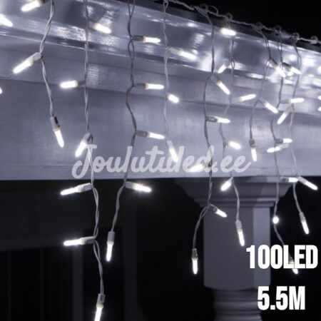 100LED-valoverho kylmä valkoinen 5.5M