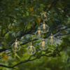 LED-valoketju Chania 4,5M 8 lamppua, aurinkokennolla