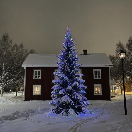 1000LED jouluvalot värikäs 52,5M